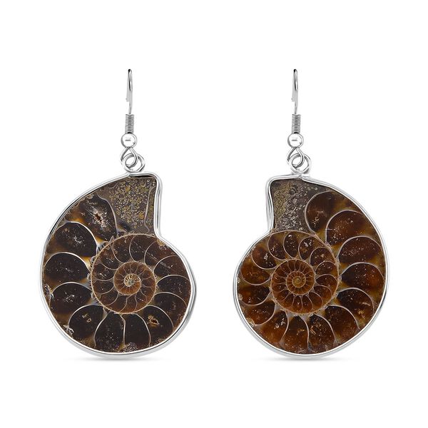 Ammonit Ohrringe Reiner Edelstahl ca.
