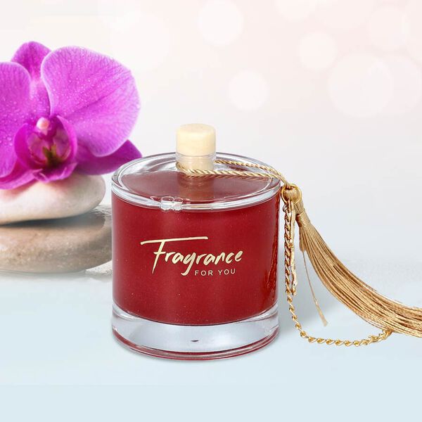 The 5th Season - 100ml Runder Diffusor mit Glitzerpuder in Geschenkbox, Duft: Cold Water, Rot image number 3