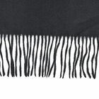 Bestickter Schal mit Paisley Bordüre, Schwarz image number 1