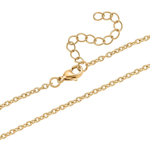 Abalone Muschel, Harz Anhänger mit Kette, Reiner Edelstahl, goldfarben image number 5