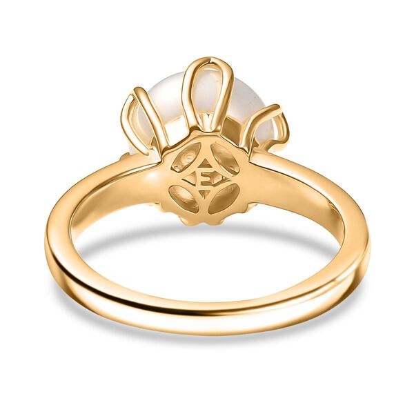 EVER TRUE Weiße Süßwasser Perle (10-10.5 mm) Ring Nickelfreies Messing (Größe 18.00) 5.60 ct image number 6