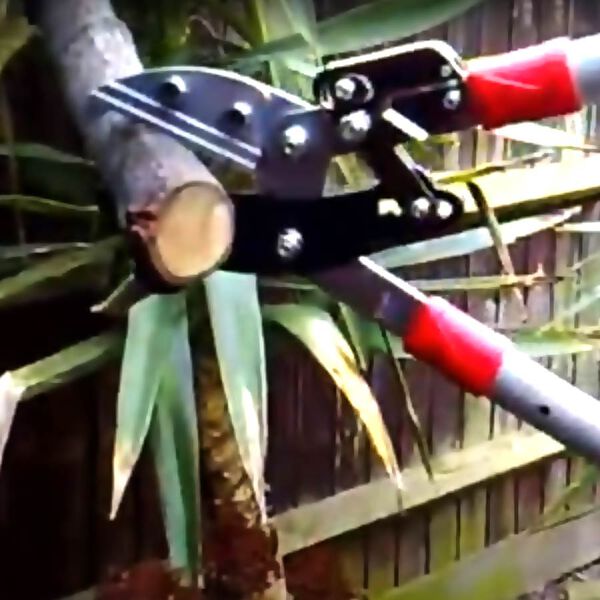 Jardin de France Astschere (Schneiden bis zu 70mm Durchmesser), Gr&ouml;&szlig;e: 70-100mm image number 3