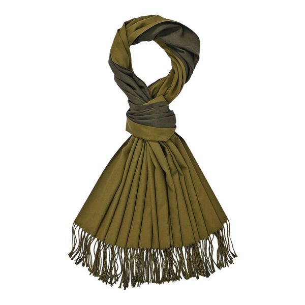 Eleganter doppelseitiger Schal mit Fransen, 68x180cm, Grün image number 1