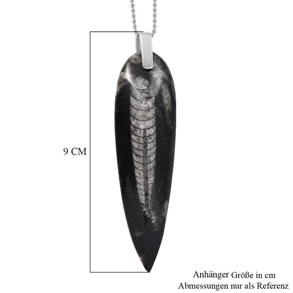 Orthoceras Schmuckset 925 Silber und Edelstahl ca. 100,00 ct. image number 6