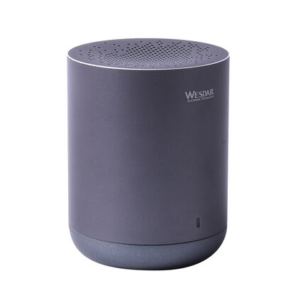WESDAR Bluetooth Lautsprecher aus Aluminium, 1200mAh Batterie, Grau