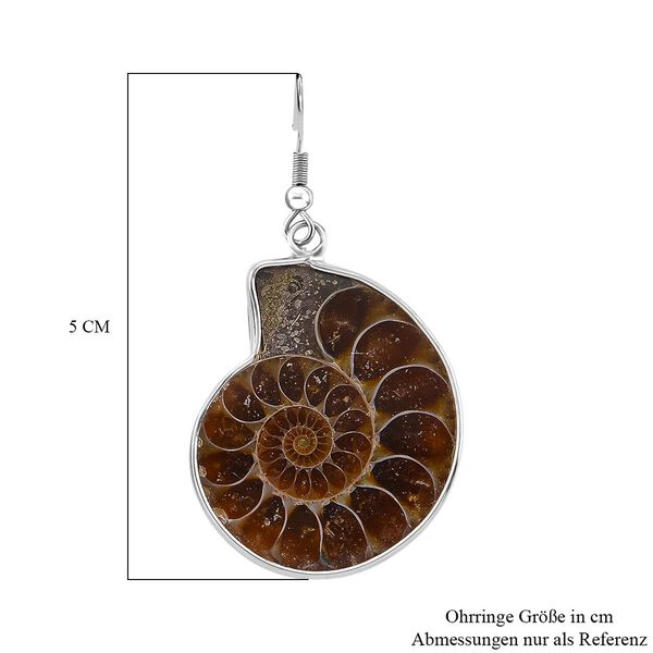 Ammonit Ohrringe Reiner Edelstahl ca. image number 5