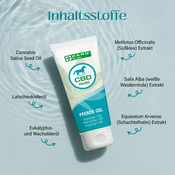 CBD Pferdegel, 100ml, k&uuml;hlend und erfrischend image number 2