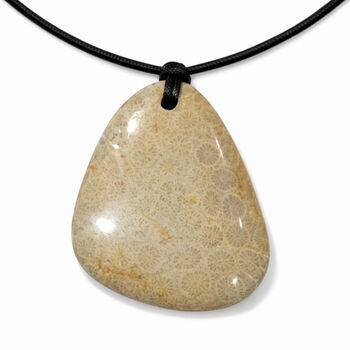 Fossiler Jaspis Anh&auml;nger ca. 65,00 ct.