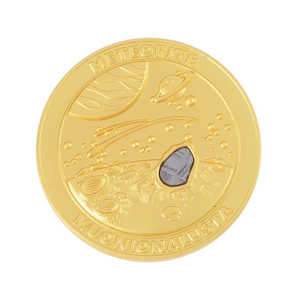 Antik-Finish Sammler-Meteorit in Goldton