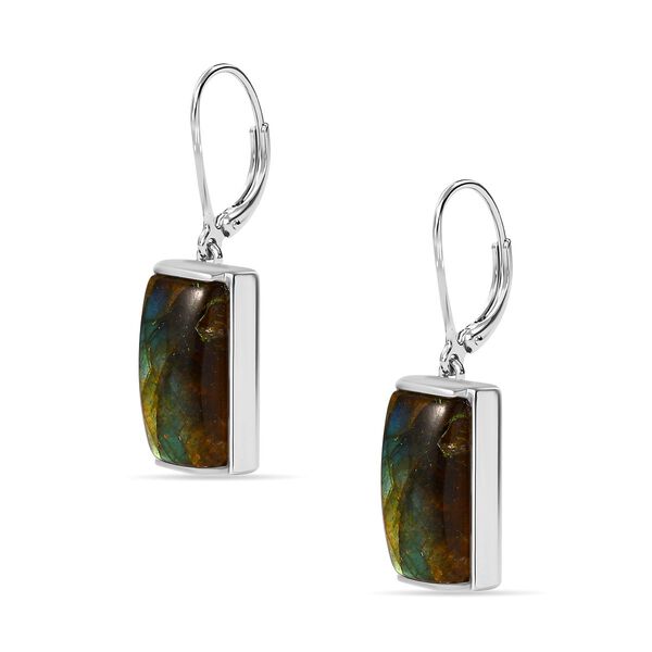 Labradorit Ohrringe - 14,45 ct. image number 4