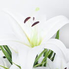 Weiße Lilie und Hortensie Kunstblumen im Keramiktopf image number 2