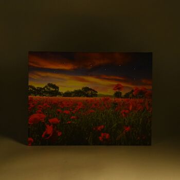 LED Leinwand Rahmen Digitaldruck Wandbild, Blumen, 30x40 cm