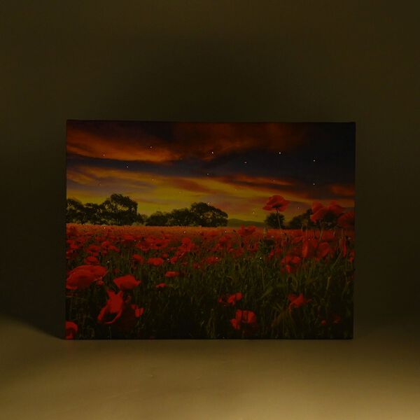 LED Leinwand Rahmen Digitaldruck Wandbild, Blumen, 30x40 cm image number 2