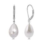 Weiße Muschelkernperle Ohrringe 925 Silber