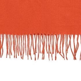 Bestickter Schal mit Paisley und Floralem Stickerei, 70 x 180 cm, Orange