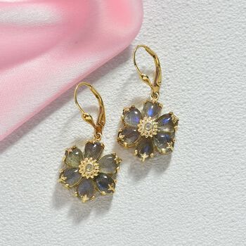 D'Joy AAA Labradorit, Wei&szlig;er Zirkon Ohrringe 925 Silber 750 Gelb Vergoldet ca. 9.15 ct