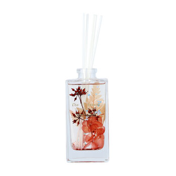 THE 5TH SEASON - Aroma Diffusor in Glasflasche mit ewigen Blumen, Rot, 150ml