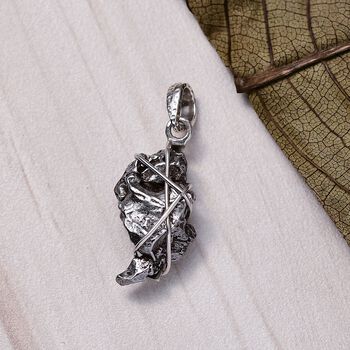 Muonionalusta Meteorit Anh&auml;nger und Ohrringe