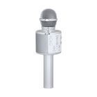Multifunktions Karaoke Mikrofon, Silber image number 1