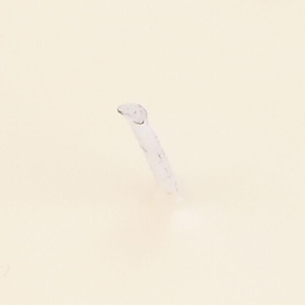 LIVMORE - Duftkerze Winterzauber-Design, 25 Std. Brenndauer, 150g, 4,5 ml ätherisches Öl, Lavendel und Jasmin, Grün image number 6