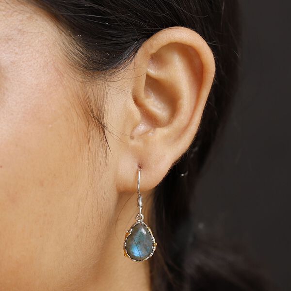 AAA Labradorit Ohrringe - 12,76 ct. image number 2