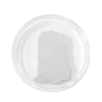 Pixiu-Barren in 999 Silber