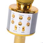 Multifunktions Karaoke Mikrofon und Bluetooth Lautsprecher mit sprachgesteuerten LED - Lichter und Sound - Echo, Gold image number 1