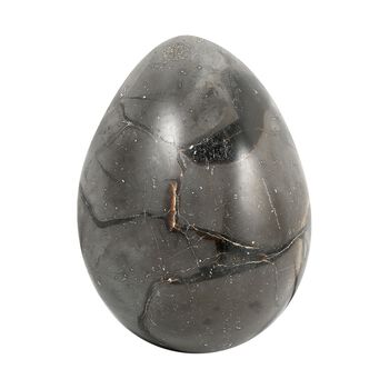 Gem Crystal Kollektion - Septarian Drachen-Ei, ca. 7 cm - S, ca. 1500 cts.