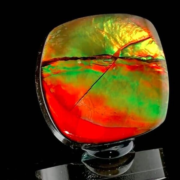 AAAA Ammolite Free Free Plain Cut, 10.51 Ct image number 3