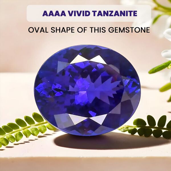 AAAA Tansanit ungefasster Edelstein, Oval- und Facettenschliff - 24,92 ct. image number 3