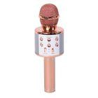 Multifunktions Karaoke Mikrofon und Bluetooth Lautsprecher mit sprachgesteuerten LED - Lichter und Sound - Echo, Roségold