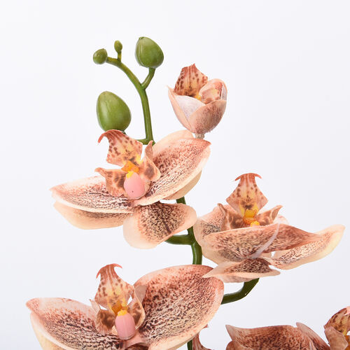 THE 5TH SEASON: Tiger-Schmetterlingsorchideen mit Vase, Kunstblumen, Größe: 28x15x43 cm  image number 1