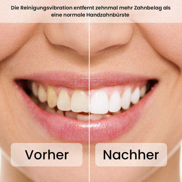 2er-Set elektrische Zahnb&uuml;rste mit 2 Reisetaschen und 8 B&uuml;rstenk&ouml;pfe, Schwarz und Rosa image number 6