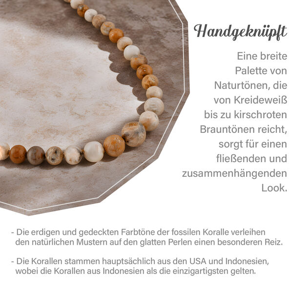 Runde, fossile Korallen-Halskette image number 4