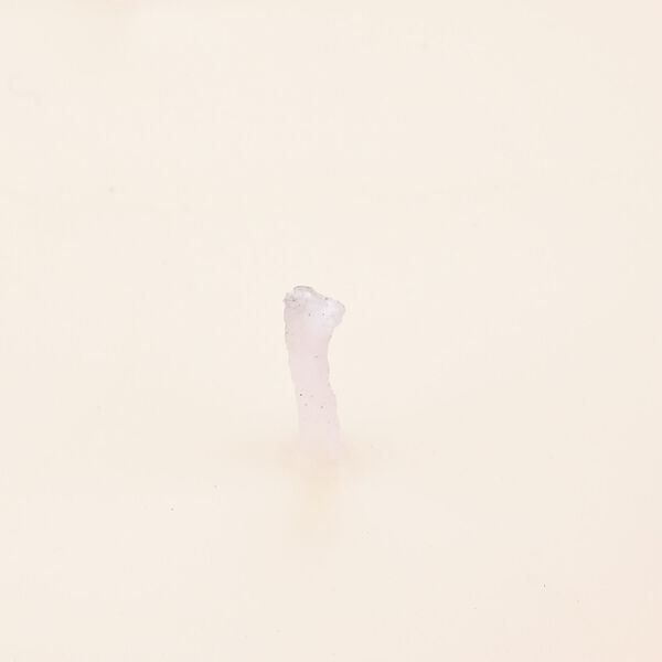 LIVMORE - Duftkerze Winterzauber-Design, 25 Std. Brenndauer, 150g, 4,5 ml &auml;therisches &Ouml;l, Amber und Pfingstrose, Blau image number 6