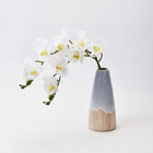 THE 5TH SEASON: Weiße Schmetterlingsorchideen mit Vase, Kunstblumen, Größe: 28x15x43 cm  image number 0