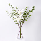 THE 5TH SEASON: Glasvase mit 2 weißen Lilien, Kunstblumen image number 0