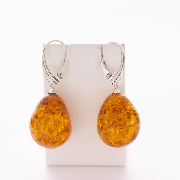 Nature's Glimpse baltische Bernstein-Ohrringe image number 1