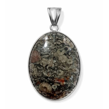 Insektenfossil-Jaspis Anh&auml;nger ca. 55,00 ct.