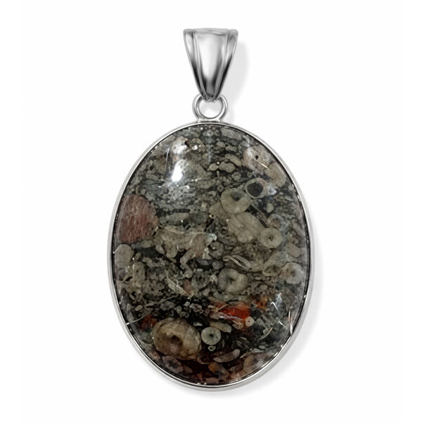 Insektenfossil-Jaspis Anh&auml;nger ca. 55,00 ct.