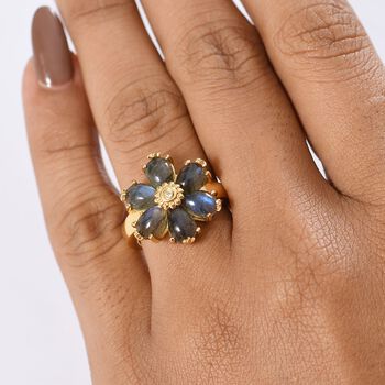 D'Joy AAA Labradorit, Wei&szlig;er Zirkon Ring 925 Silber 750 Gelb Vergoldet (Gr&ouml;&szlig;e 21.00) ca. 4,92 ct