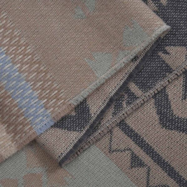 Schal mit Fransen, gewebt, Gr&ouml;&szlig;e 65x190+2 cm, beige image number 4