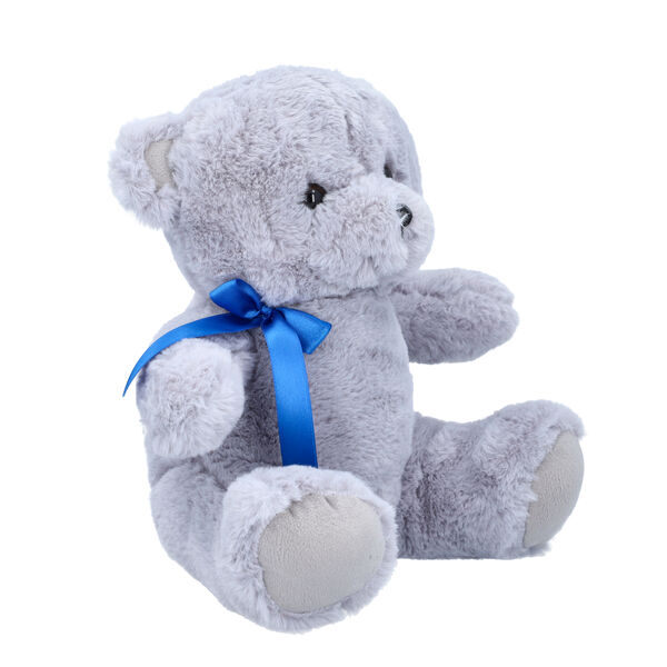 B&auml;r Pl&uuml;sch-Teddy image number 2