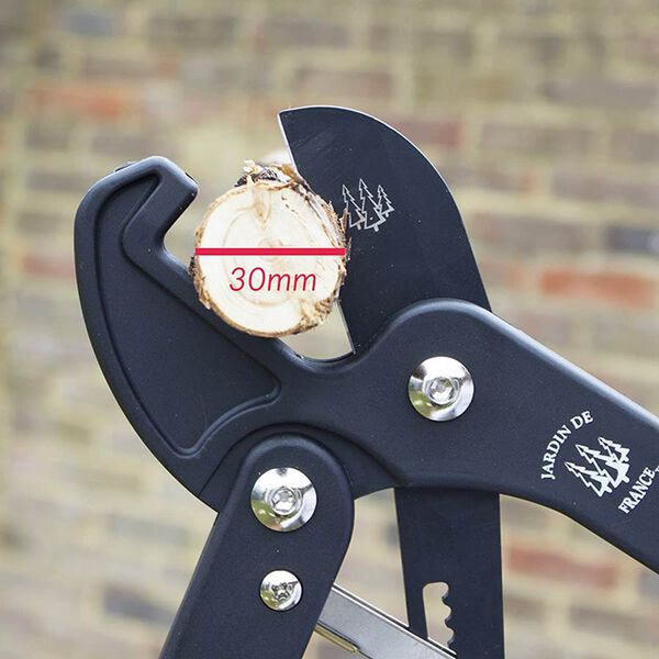 Jardin De France Mini Baumschere aus Glasfaser (Schneiden bis zu 30 mm Durchmesser), L: 42 cm image number 1