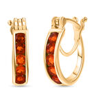 D'joy AAA Blaze Feueropal Ohrringe 925 Silber vergoldet ca. 0.49 ct