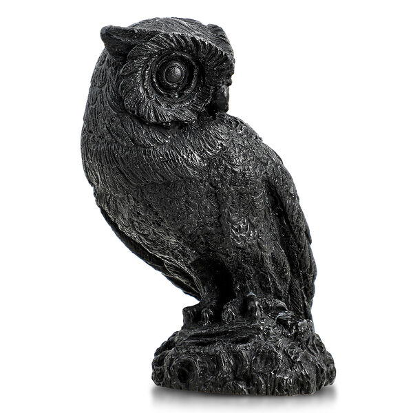 Eule Schungit Figur, 10x7,8cm image number 3