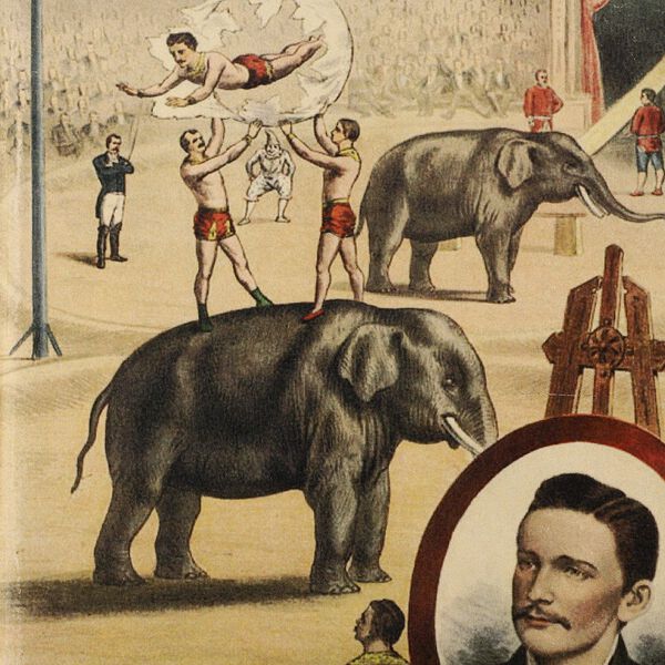 Hardcover Notizbuch mit Kupfer Kugelschreiber, Elefant-Muster, beige image number 11