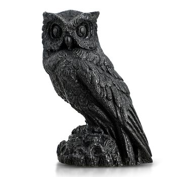 Eule Schungit Figur, 10x7,8cm