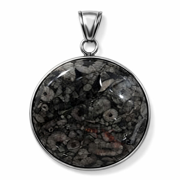 Insektenfossil-Jaspis Anh&auml;nger ca. 40,00 ct.