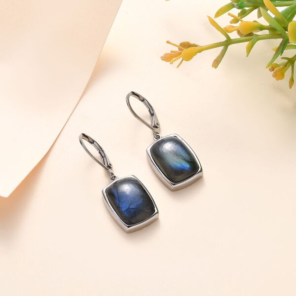 Labradorit Ohrringe - 16,07 ct. image number 2